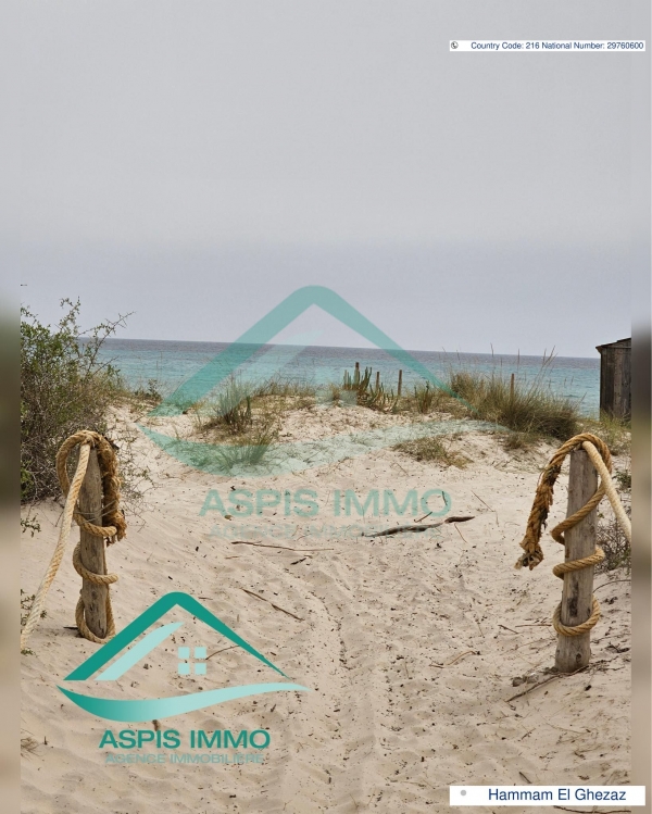 aspis-immo