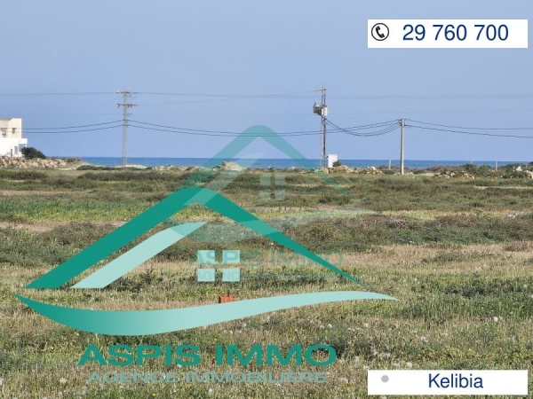 aspis-immo