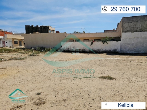 aspis-immo