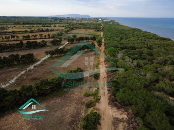 aspis-immo