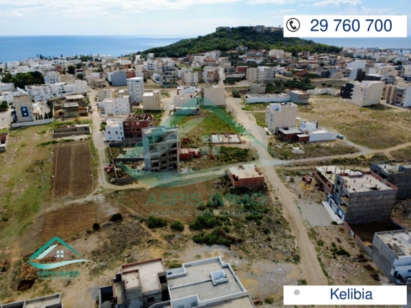 aspis-immo