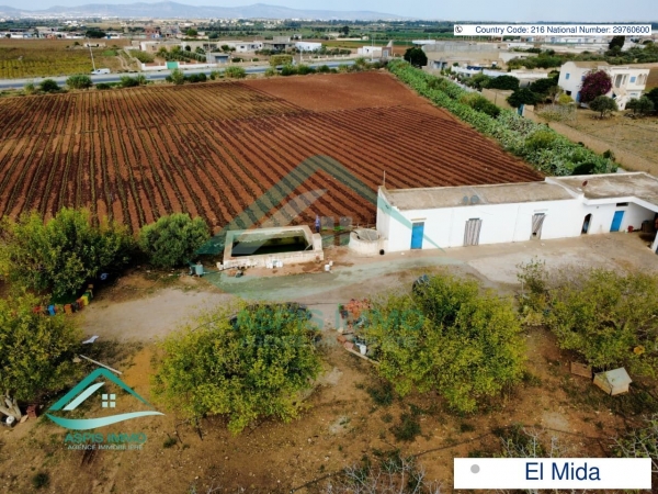 aspis-immo