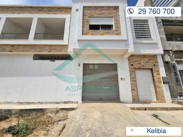 aspis-immo